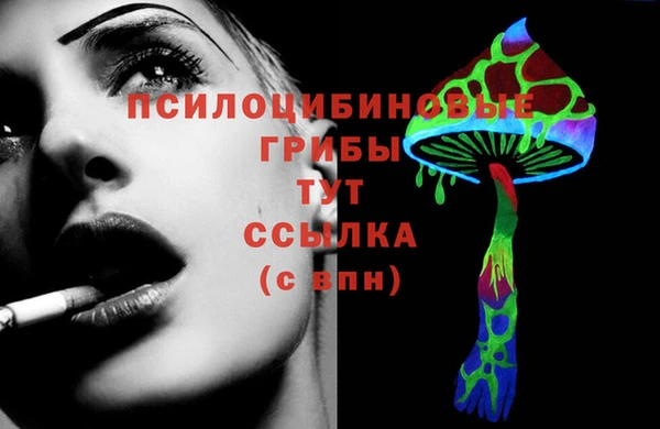 ECSTASY Бронницы
