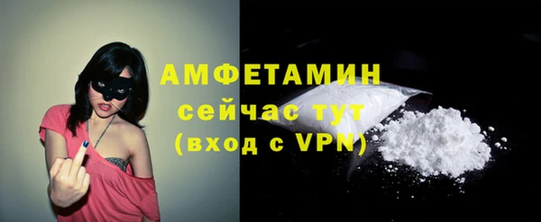 Альфа ПВП Бородино