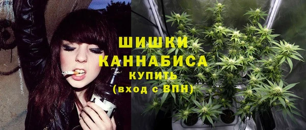ECSTASY Бронницы