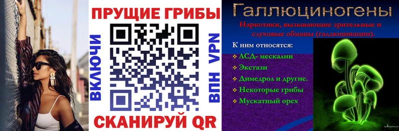купить наркотики сайты  Выборг  Галлюциногенные грибы прущие грибы 